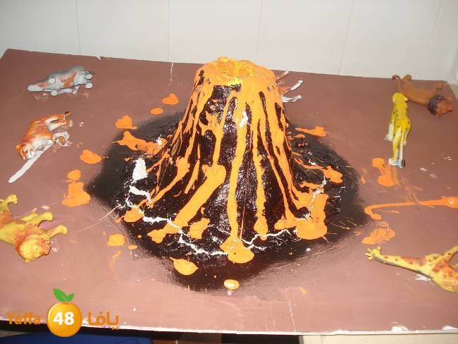 shamela320w (20).jpg